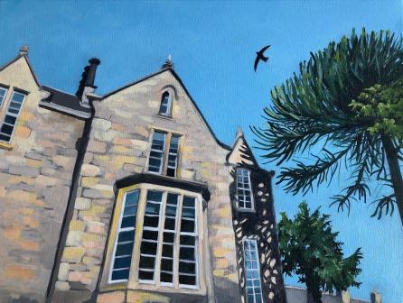 Historic Scottish stone building, a swift flies overhead next to a tall green monkey puzzle tree
