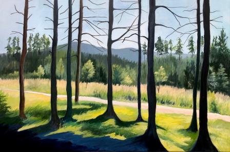 Colourful Acrylic painting by Judy Randle of a view of Ben Aigan in Scotland. The golden sun is low in the sky and is flltering through the pine trees. A sandy path leads into the distance. There are golden and green grasses and blue shadows